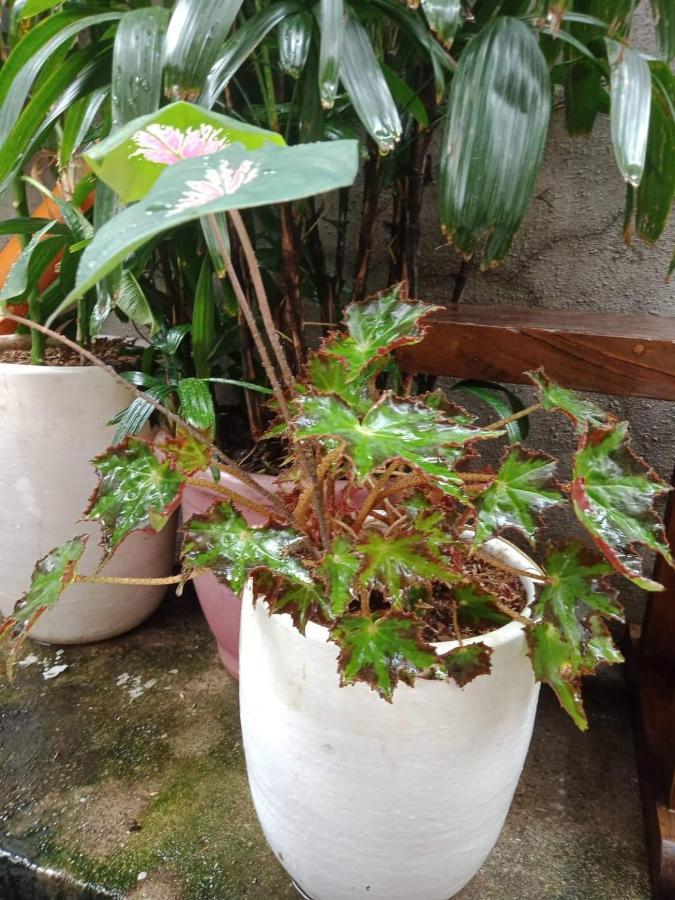 פאסאי Burgos Hub Hostel מראה חיצוני תמונה